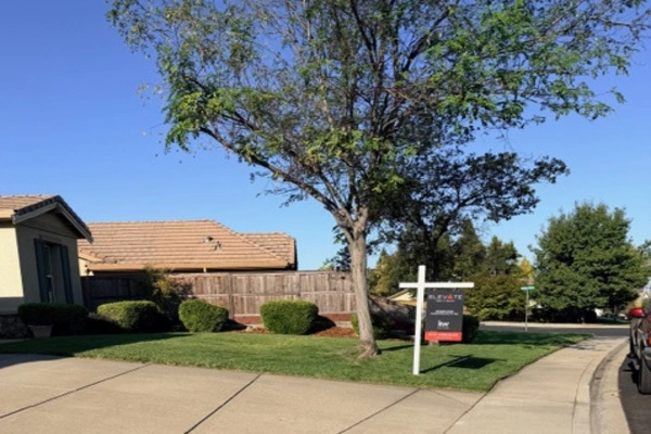 Affordable landscaping services
