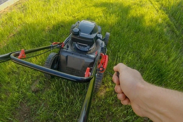 Professional landscaper in Auburn, CA
