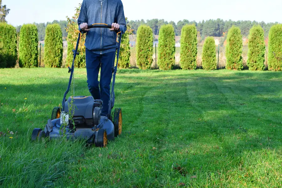 Benefits Of Hiring Professionals For Lawn Mowing Services Auburn, CA