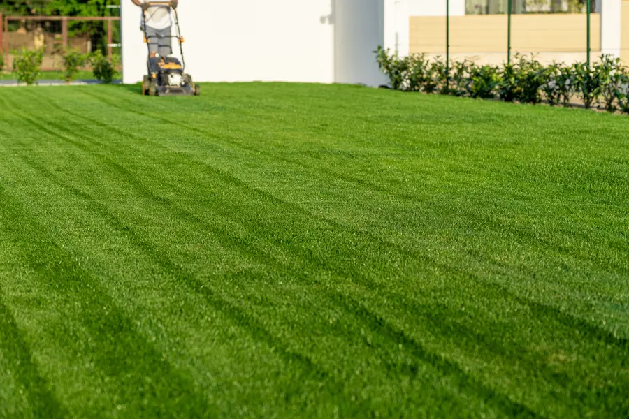 Benefits Of Hiring Professionals For Lawn Mowing Services in Auburn, CA