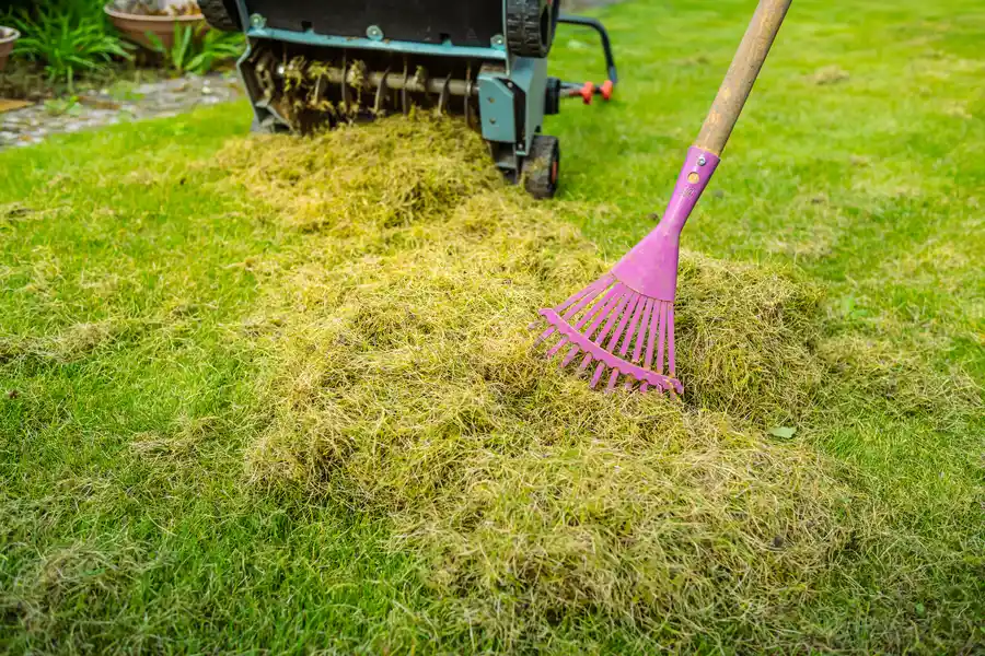 Experienced Yard Maintenance Auburn, CA