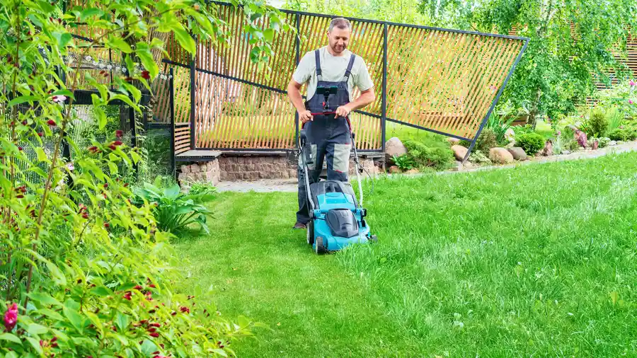 Expert Lawn Mowing Auburn, CA