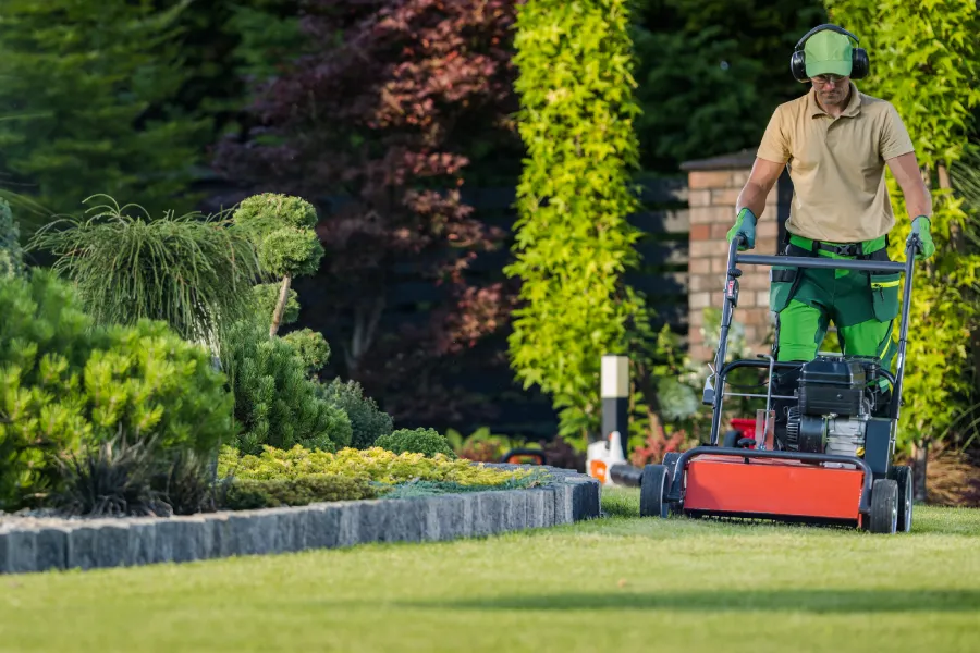 How Yard Maintenance Helps Prevent Lawn Disease And Pests Auburn, CA