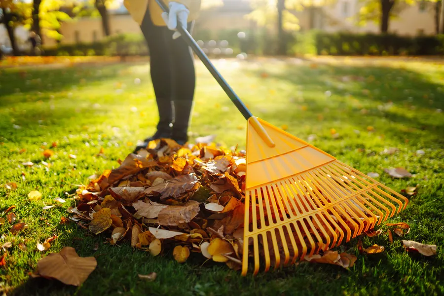 Premium Yard Maintenance Auburn, CA