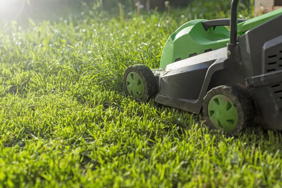 Preparing Your Lawn For Mowing During Extreme Weather in Auburn, CA