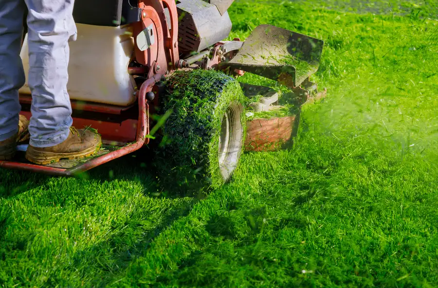 Quality Lawn Mowing Auburn, CA