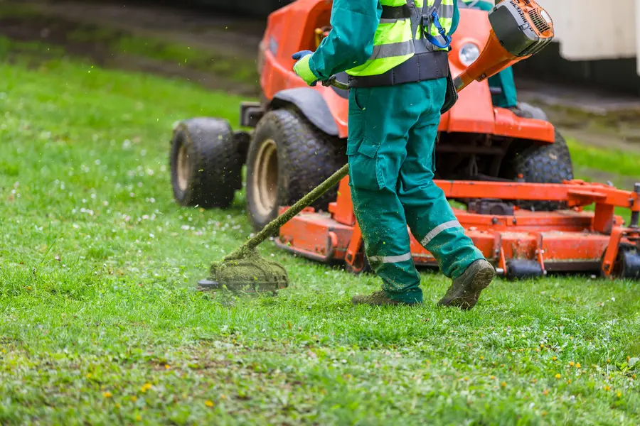 Reputable Lawn Mowing Auburn, CA
