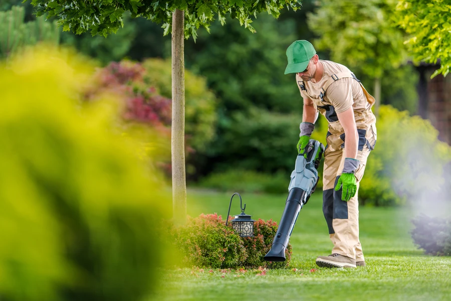 Why You Should Prioritize Yard Maintenance For Family Safety in Auburn, CA